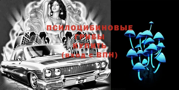 мяу мяу мука Вяземский