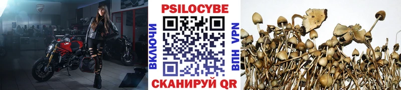 Галлюциногенные грибы Magic Shrooms  Купить  Белокуриха 